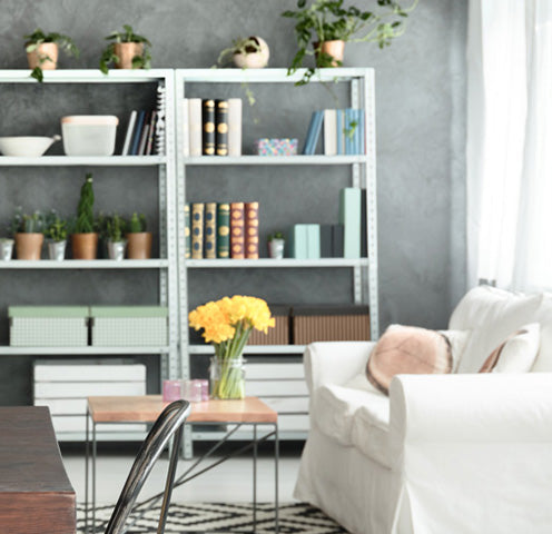 How to have a healthy home