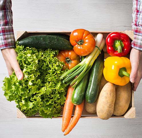 What every plant eater needs to know