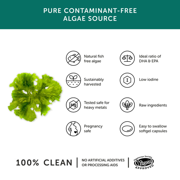 Vegan Omega 3 For Vegetarians Algae Oil Vegan Together Health